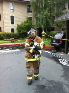 Firefighters rescued 4 dogs from the Muirwood Apartments on May 3rd